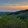 Vista vigneti Valpolicella al tramonto