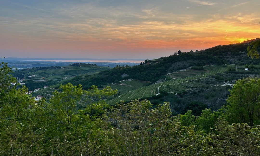 Vista vigneti Valpolicella al tramonto