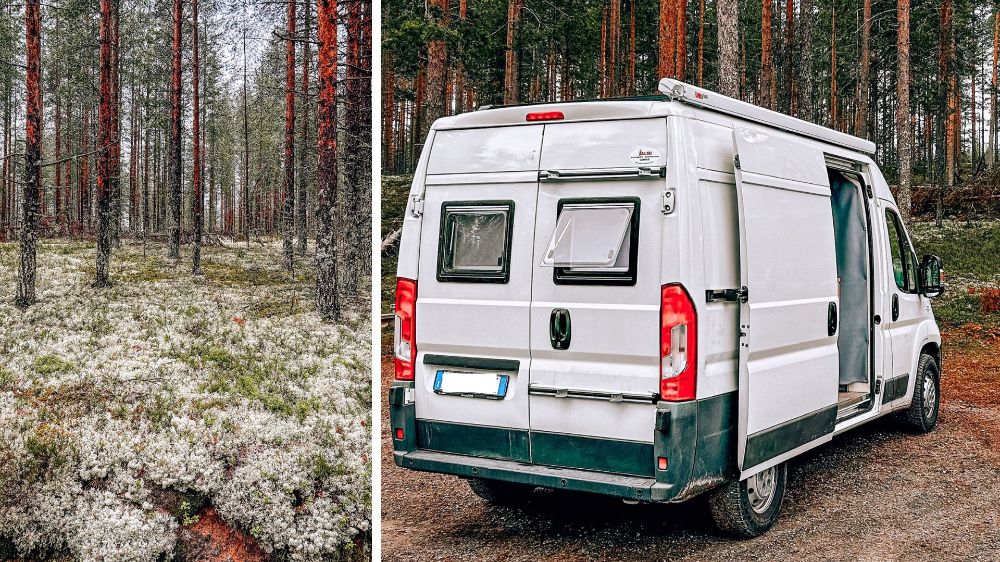 Parco nazionale Rokua, foresta di pini e licheni con camper parcheggiato sotto i pini del parco