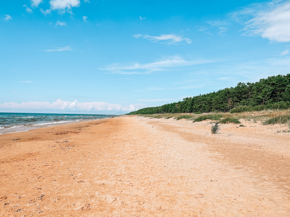 Vista della spiaggia selvaggia del mar Baltico, lungo la strada che da Rīga porta a Tallinn