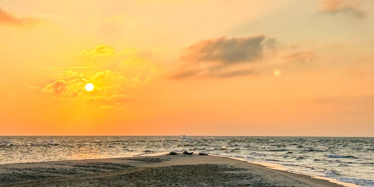 Grenen, dove si scontrano i 2 mari.