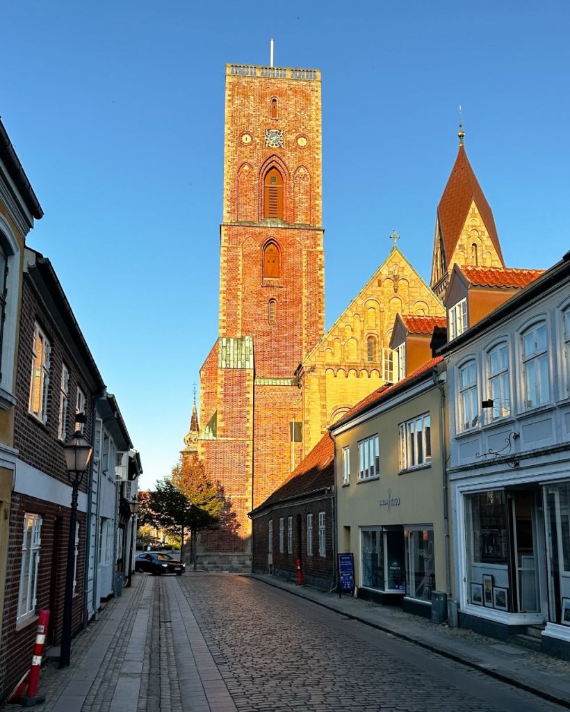 La torre della cattedrale e le vie del centro città.