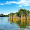 Nel Parco del Delta del Po tra terra e acqua.