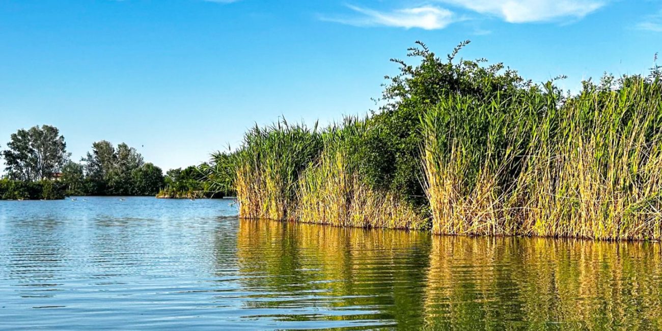 Nel Parco del Delta del Po tra terra e acqua.