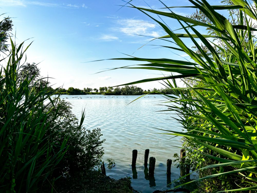 Panorama tra terra e acqua nel parco del Delta del Po.