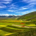 La fioritura di Castelluccio di Norcia vista dall'alto.