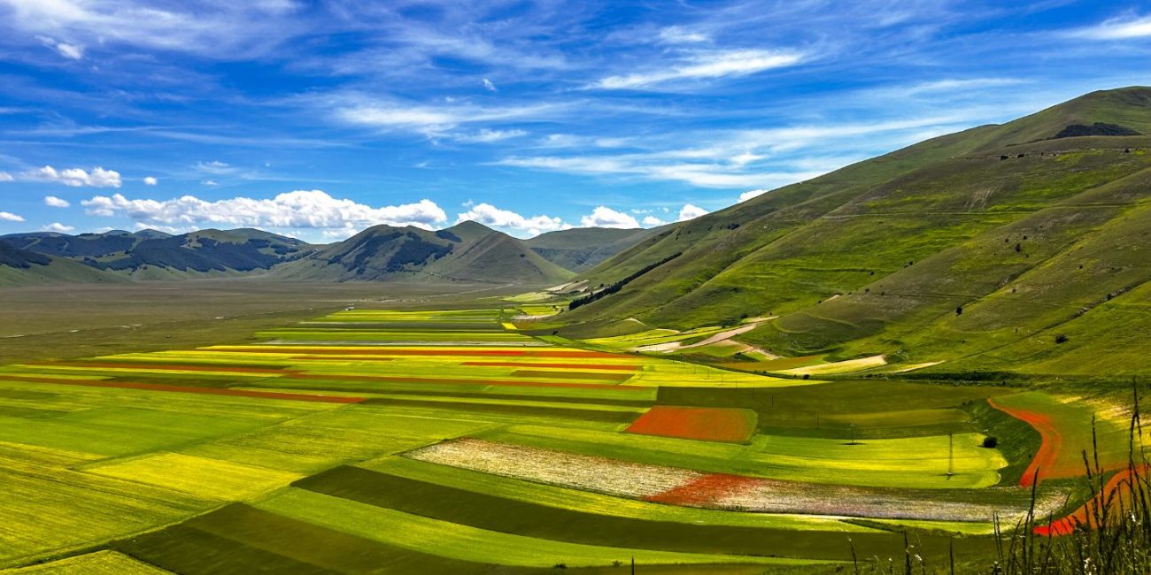 La fioritura di Castelluccio di Norcia vista dall'alto.