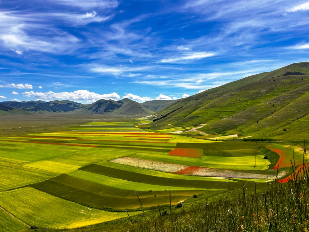 La fioritura di Castelluccio di Norcia vista dall'alto.